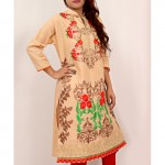 Beige Embroidered Stylish Design Ladeis suit AKG-086